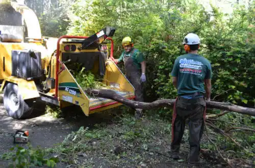 tree services Strawberry